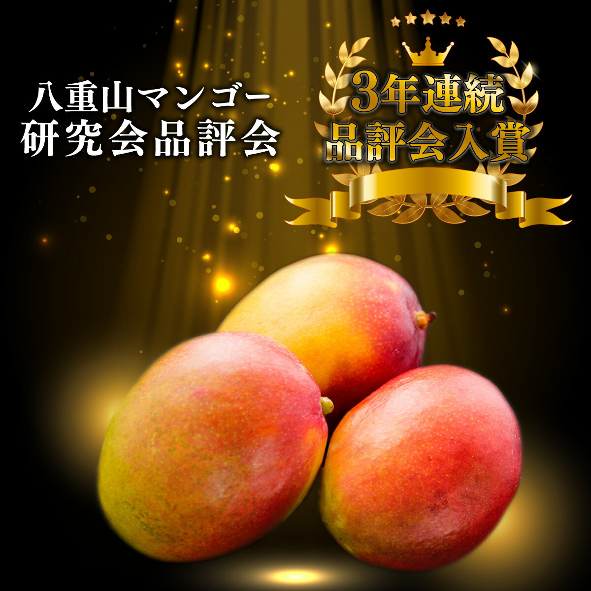 沖縄県竹富町の画像2