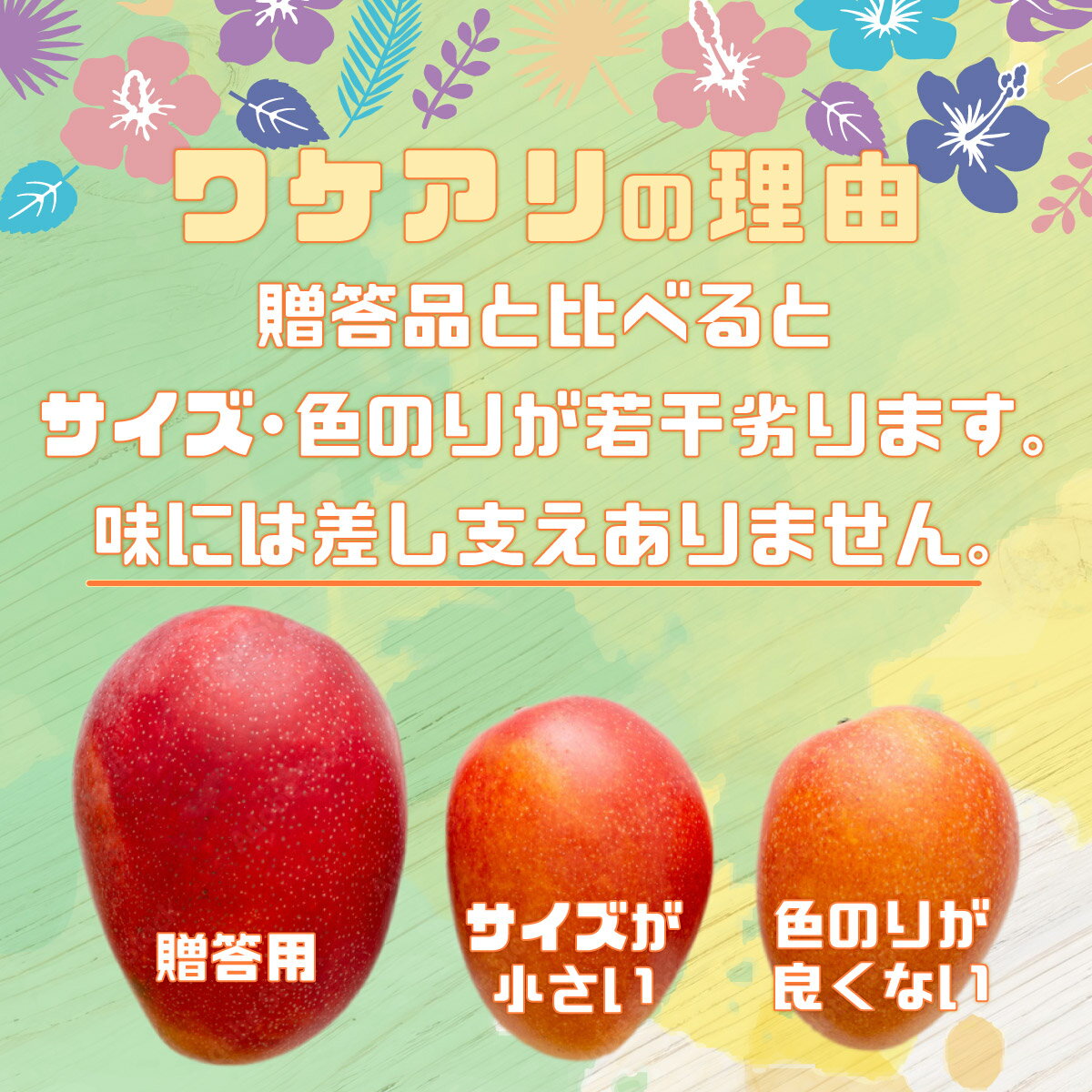 沖縄県竹富町の画像3