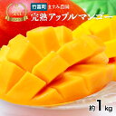 【ふるさと納税】2025年 先行予約 アップルマンゴー 約1kg 2~4玉 完熟 マンゴー ますみ農園 果物 フルーツ 【果物・フルーツ・マンゴー・アップルマンゴー・約1kg・完熟】 お届け:2025年6月下旬~7月下旬