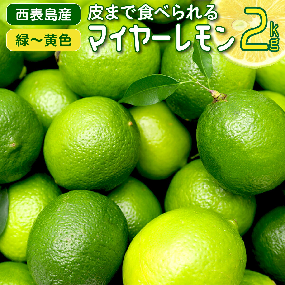 [2024年発送]まろやか多汁マイヤーレモン (島レモン)約2kg [ 果物類 柑橘類 レモン 檸檬 マイヤーレモン ] お届け:2024年8月1日〜2024年12月25日