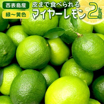 【2024年発送】まろやか多汁マイヤーレモン （島レモン）約2kg 【 果物類 柑橘類 レモン 檸檬 マイヤーレモン 】 お届け：2024年8月1日～2024年12月25日