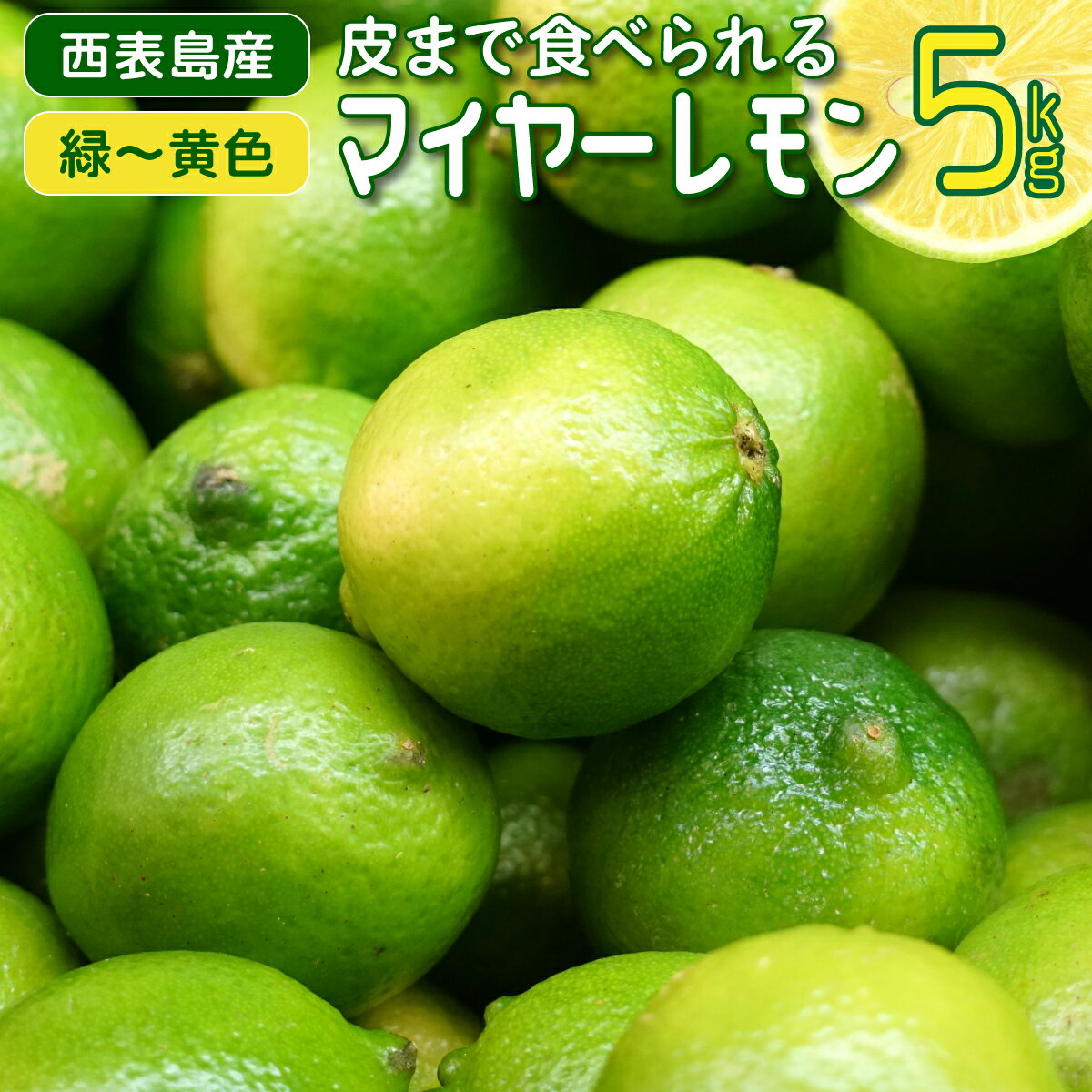 名称マイヤーレモン内容量青切りレモン 約5kg （出荷後半は、黄色が混じった「熟レモン」になって行きます。）産地竹富町産事業者高田　見諒配送方法常温配送お届け時期2024年8月1日～2024年12月25日2025年1月以降の受付の場合、発送は2025年7月以降となります備考※画像はイメージです。 ※商品到着後、早めの冷蔵保存をお願いします。 ・ふるさと納税よくある質問はこちら ・寄附申込みのキャンセル、返礼品の変更・返品はできません。あらかじめご了承ください。【ふるさと納税】まとめてお得 果汁たっぷり マイヤーレモン（島レモン）約5kg　【 果物類 柑橘類 丸い 果皮 薄い 酸味 まろやか 香り 果汁 貴重 皮ごと 薄く サラダ はちみつ 】　お届け：2024年8月1日～2024年12月25日2025年1月以降の受付の場合、発送は2025年7月以降となります 普通のレモンに比べて丸く、果皮が薄く、酸味がまろやかで香り高く、果汁が多いのが特徴です。マイヤーレモンは生産量が少ないため、とても貴重なレモンです。 利用法：栽培期間中有機JAS適合農薬使用、生物農薬チリカブリダニ等使用、 防カビ剤、ワックス不使用なので、生食、皮ごと薄く切ってサラダ、はちみつレモン、ジャム、塩レモン、レモン酵素、ピール、レモンケーキ等に利用できます。 寄附金の用途について 1．目的達成のために町長が必要と認める事業 2．保健・福祉及び医療に関する事業 3．社会資本整備に関する事業 4．産業振興に関する事業 5．教育振興に関する事業 6．歴史的・文化的遺産等の保全・活用に関する事業 7．自然環境の保全に関する事業 受領証明書及びワンストップ特例申請書のお届けについて 入金確認後、注文内容確認画面の【注文者情報】に記載の住所にお送りいたします。発送の時期は、入金確認後1〜2週間程度を目途に、お礼の特産品とは別にお送りいたします。