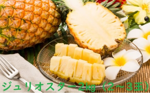 2024年 先行予約 セット パイン ジュリオスターパイン 2kg 2～3玉 レア品種 沖縄 西表島産 果物 フルーツ　【果物詰合せ・フルーツ・ジュリオスターパイン・パイナップル・3kg】　お届け：2024年8月上旬～8月下旬