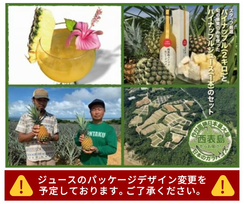 内容量西表島産　訳あり旬のパイン2kg（2〜3玉）パインジュース1本（500ml）事業者農業生産法人 有限会社西表生産 西表島パイランドファーム配送方法冷蔵配送お届け時期2024年5月上旬〜7月下旬備考※画像はイメージです。 ※賞味期間（目...