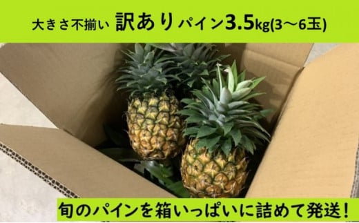 【ふるさと納税】《大きさ不揃い訳あり》旬のパイン 3.5kg 3～6玉 大きさ不揃いでも箱にいっぱい！果...