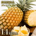 【ふるさと納税】プレミアムサンドルチェ(R) GOKUJUKU-極熟‐ 1.4kg以上 1玉《2025年先行予約》【パイナップル 沖縄 2025年 発送 高糖度秀品 贈答用 贈り物 パイン 果物 フルーツ デザート 希少 西表島 竹富町】 お届け:2025年7月上旬~7月下旬