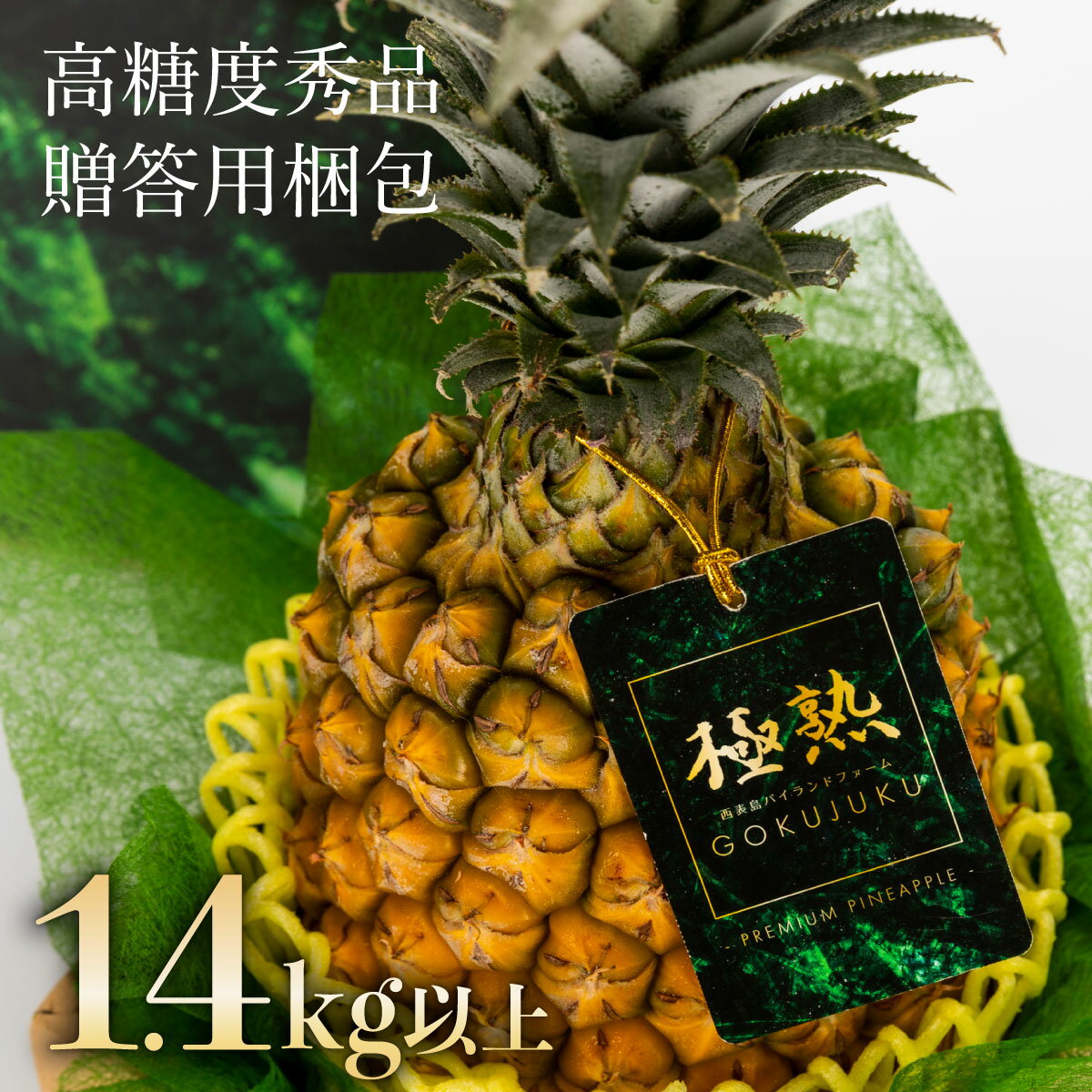 【ふるさと納税】2026年 先行予約 GOKUJUKU -極熟- プレミアム スナックパイン 果物 フルーツ