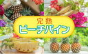 名称パイナップル内容量【西表島産】完熟ピーチパイン約6kg（7〜9玉入）産地沖縄県竹富町産事業者西表島ナウパカ配送方法常温配送お届け時期2024年4月下旬～6月下旬備考※画像はイメージです。 ※出荷時期になりましたら、別途メールにてお届けに...