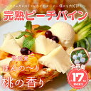 【ふるさと納税】☆新感覚の味わい☆ 桃のような芳醇な香りのする『西表島産 完熟ピーチパイン』 約17kg【 ピーチパイン 桃のような香りのパイン 西表島 送料無...