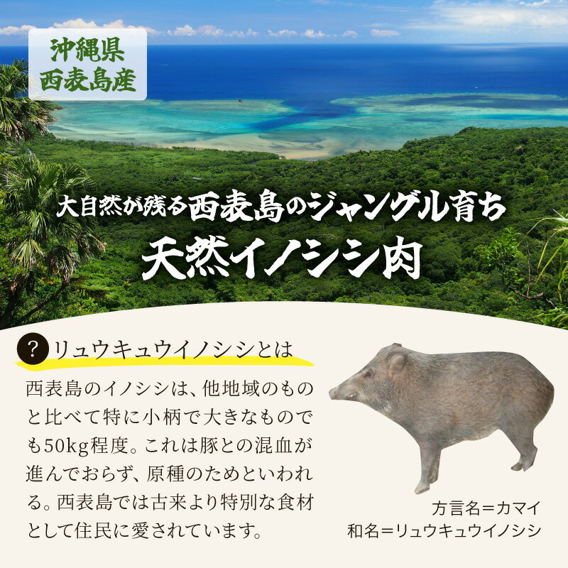 【ふるさと納税】ジビエ イノシシ 肉 西表島産 スライス 200g×2パック 【 猪肉 】