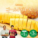 【ふるさと納税】【内容量が選べる】2026年 先行予約 完熟 ゴールドバレル 大玉 1玉 (1.0kg以上) または 約3kg 2~4玉入り 最高級【南国 フルーツ パイナップル 最高級 パイン 果物 フルーツ 竹富町】 お届け:2026年5月下旬~6月下旬