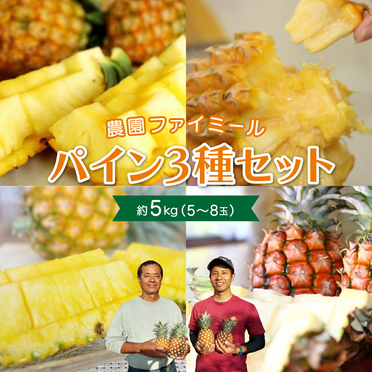 【ふるさと納税】《2025年先行予約》食べ比べ セット 約5kg 5〜8玉 農園ファイミール 完熟 パイン 果物 フルーツ 【竹富町】 お届け:2025年5月中旬 〜6月下旬