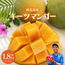 名称キーツマンゴー内容量キーツマンゴー　約1.8kg（2〜4玉入り）産地沖縄県竹富町事業者株式会社 農園ファイミール配送方法冷蔵配送お届け時期2024年8月上旬〜8月下旬備考※画像はイメージです。 ※出荷時期になりましたら、別途メールにてお...