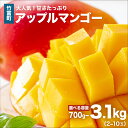 【ふるさと納税】<選べる容量>2026年先行予約 アップルマンゴー 約700g~約3.1kg 西表島ひらい農園 マンゴー 果物 フルーツ 【竹富町】 お届け:2026年6月下旬~7月下旬