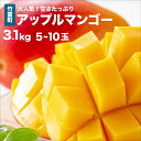 【ふるさと納税】★完熟★ アップルマンゴー 約3.1kg 5~10玉 西表島ひらい農園 マンゴー 果物 フルーツ 【果物・フルーツ・マンゴー・アップルマンゴー ・約3.1kg・完熟】 お届け:2025年6月下旬~7月下旬