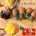 【ふるさと納税】<選べる容量>2026年 先行予約 スナックパイン 約2kg~13kg 3~16玉 西表島ひらい農園 【パイナップル 果物 フルーツ パイン 果物詰合せ・フルーツ・パイナップル】 お届け:2026年4月中旬~6月上旬