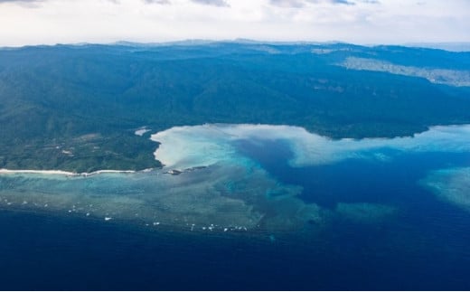 旅行 沖縄 珊瑚礁を空から観賞 ヘリコプター 遊覧 八重山七島プラン サンゴ ヘリ 観光 クーポン 旅行券 ツアー チケット [ 竹富町 ]