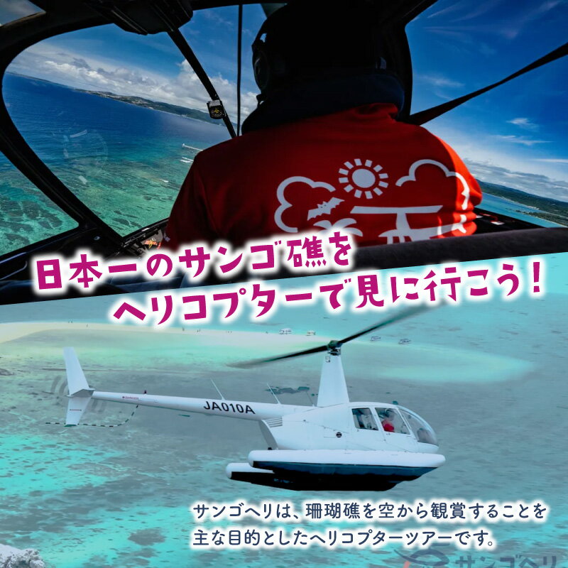 【ふるさと納税】旅行 沖縄 珊瑚礁を空から観賞...の紹介画像2