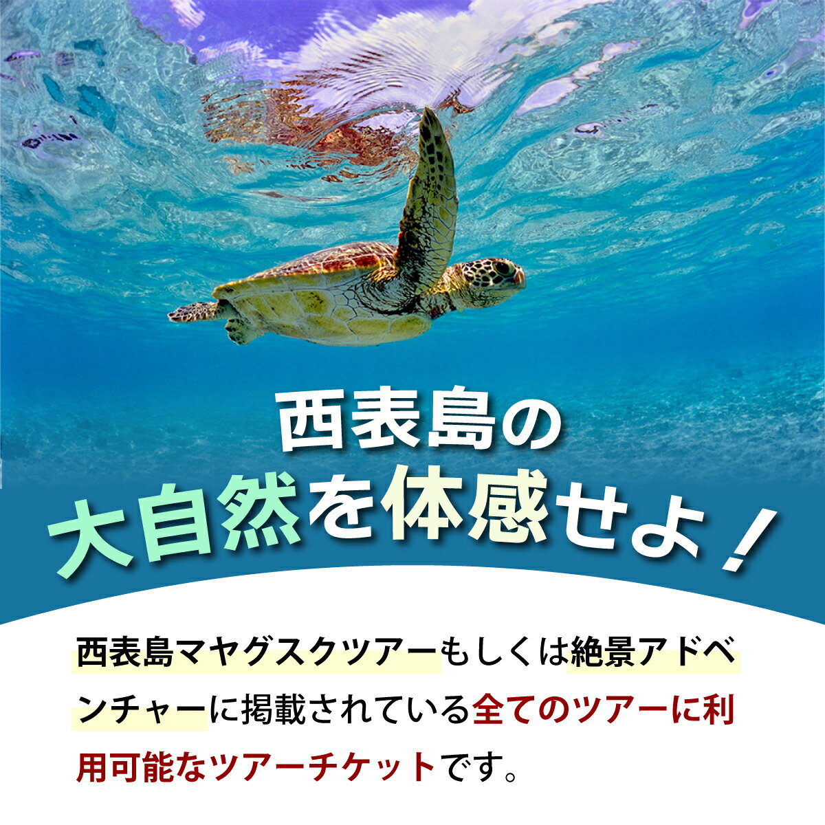 【ふるさと納税】旅行券 沖縄 チケット 西表島 アクティビティ ツアーチケット 15,000円 旅行クーポン 旅行 体験 観光 クーポン 【 竹富町 】 2