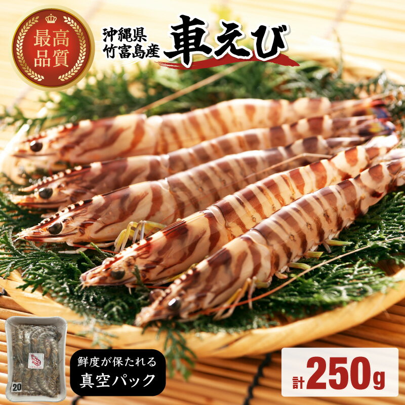 【ふるさと納税】車えび 竹富島産 真空パック（冷凍） 250g【 海老 車エビ エビ 車海老 竹富島産 冷凍】(4)