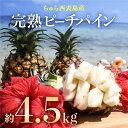 【ふるさと納税】2025年 先行予約 ピーチパイン 約4.5kg 5玉~7玉 ちゅら西表島産!! ゆたか農園 完熟 パイン 果物 フルーツ パイナップル 【果物詰合せ・フルーツ】 お届け:2025年4月25日~7月10日