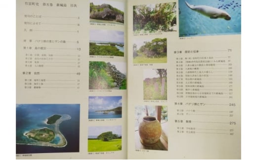 【ふるさと納税】歴史書 資料 竹富町の島々の歴史を知る 竹富町史 第五巻 新城島　【本・竹富町史・竹富町の歴史本・歴史】