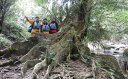 沖縄県竹富町の画像3