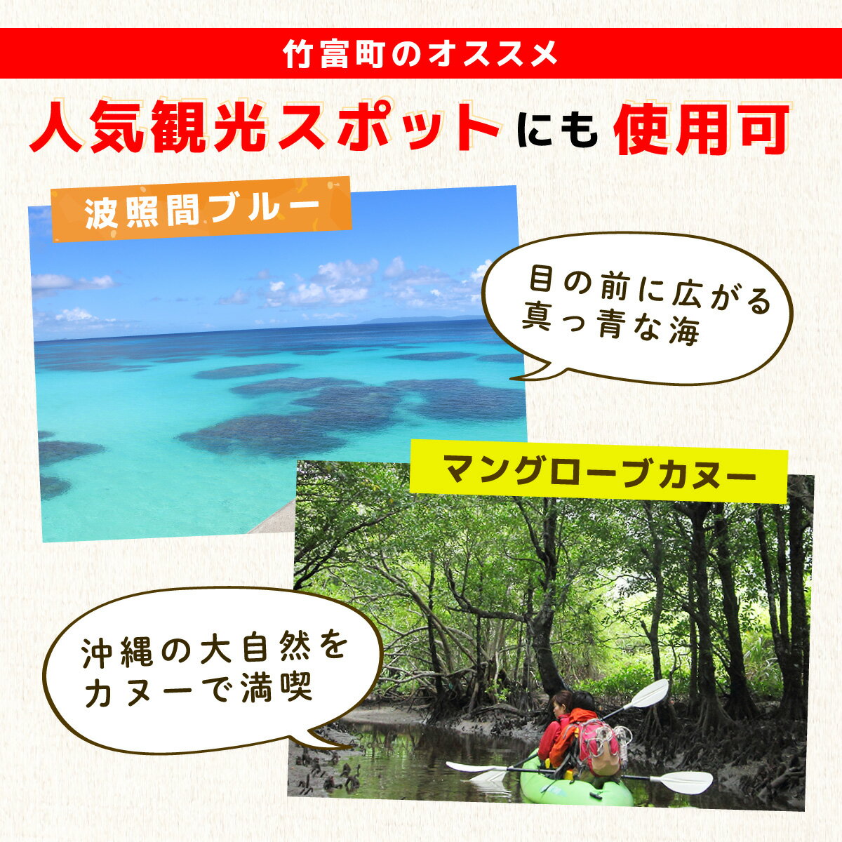 【ふるさと納税】沖縄県竹富町 日本旅行 地域限定旅行クーポン 300,000円分（Eメール発行）【チケット 旅行 宿泊券 ホテル 観光 旅行 旅行券 交通費 体験 宿泊 夏休み 冬休み 家族旅行 ひとり カップル 夫婦 親子 トラベルクーポン 竹富町旅行】