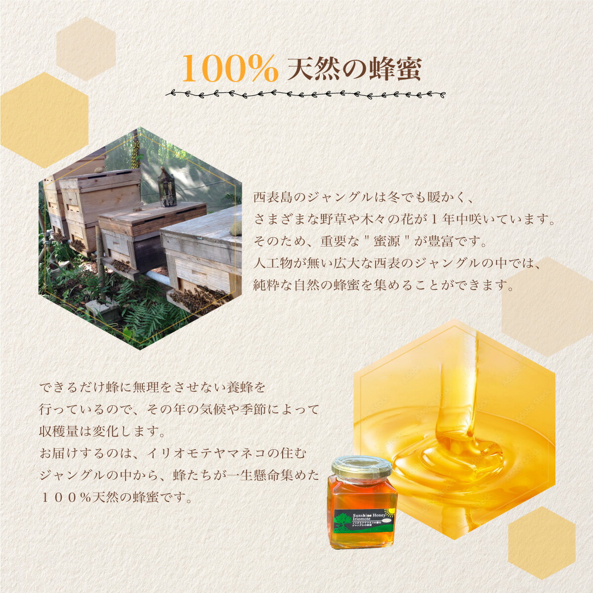【ふるさと納税】Sunshine Honey Iriomote（サンシャインハニー西表） 1ビン（180g）　【蜂蜜・調味料】