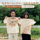 【ふるさと納税】西表島のマングローブ海染め体験 Tシャツ作りコース(約2時間)【 竹富町 体験 】