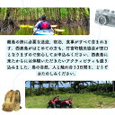 沖縄県竹富町の画像3