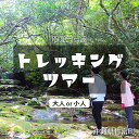 【ふるさと納税】西表島 半日森林浴滝トレッキングツアー【体験可能期間:11月1日~4月30日】大人1名分 または小人1名分 【 旅行 体験チケット 西表島ツアー 大自然 体験ツアー 観光 沖縄 半日 森林浴 トレッキング 滝 アクティビティ】