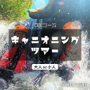【ふるさと納税】【夏季限定】西表島 森林浴キャニオニングツアー【体験可能期間:5月1日~10月31日】大人1名分 または小人1名分 【 旅行 体験チケット 西表島ツアー 大自然 体験ツアー 観光 沖縄 森林浴 キャニオニング アクティビティ】