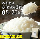 【ふるさと納税】<選べる容量>新米ひとめぼれ(白米) 5~20kg【米・白米・新米・ひとめぼれ】