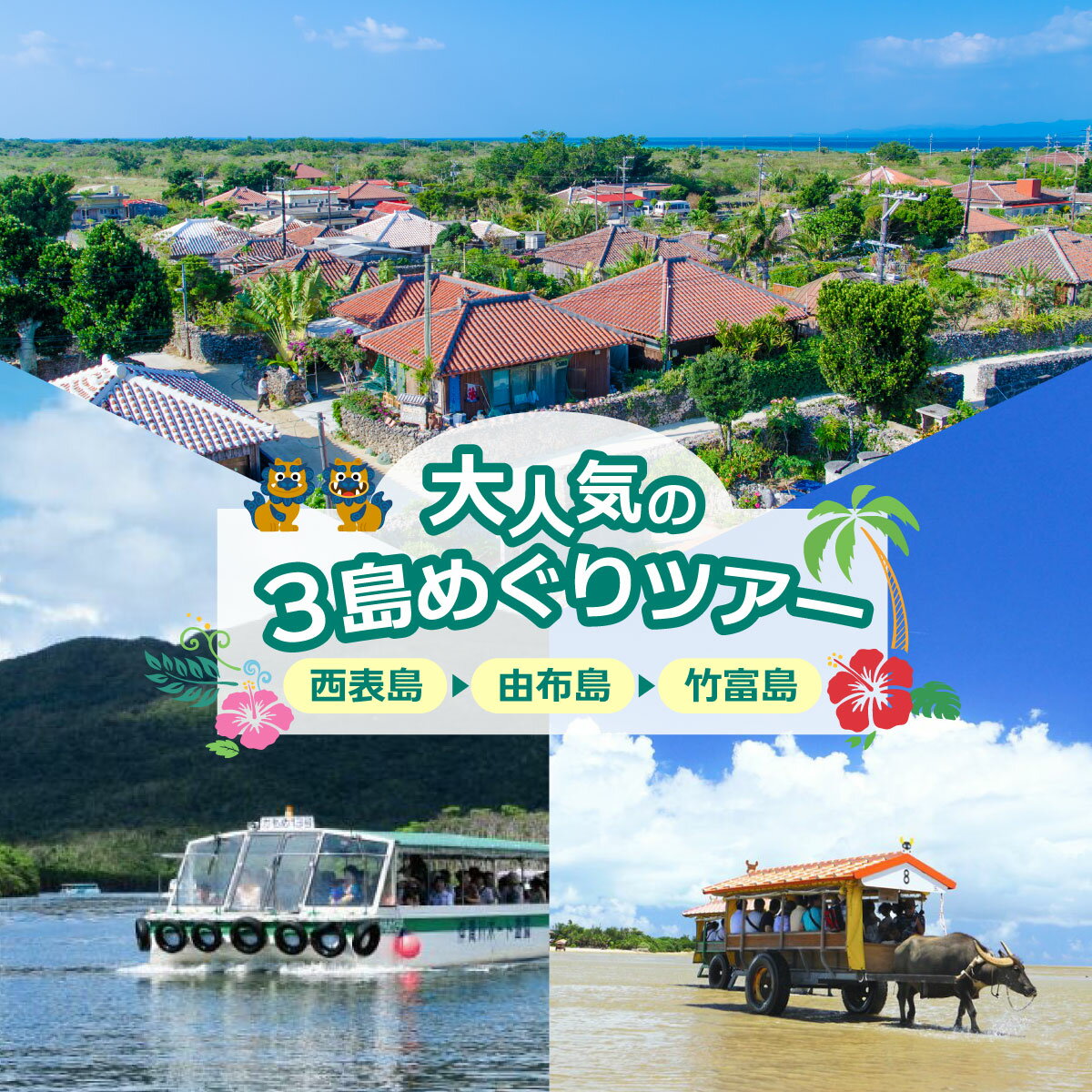 大人気の3島めぐりツアー 西表島・由布島・竹富島を満喫する日帰りツアー マングローブ遊覧+水牛車+選べる竹富島での過ごし方[1日/昼食付][ 旅行 体験チケット観光 大自然 体験ツアー 観光 沖縄 アクティビティ ]