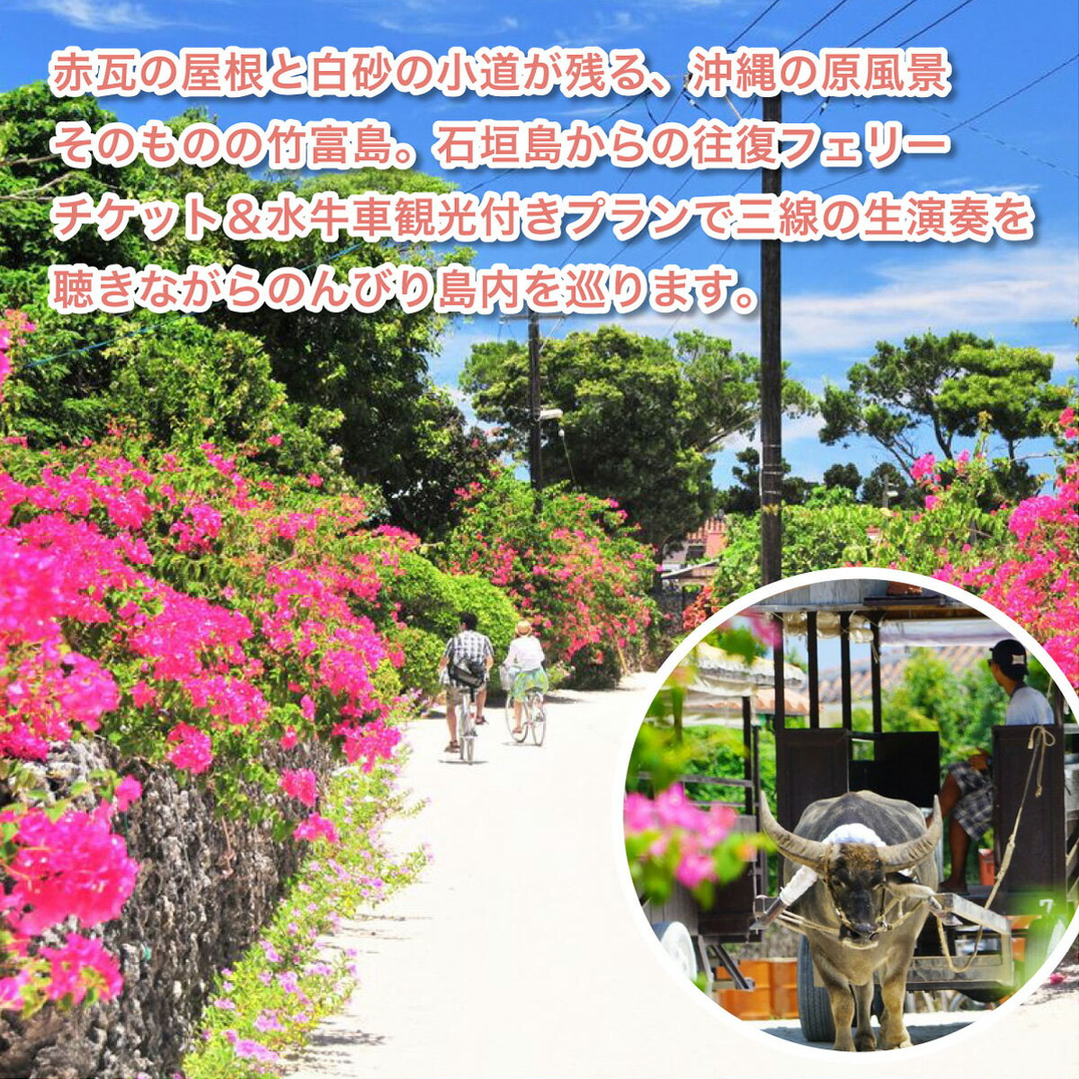 【ふるさと納税】竹富島日帰り観光ツアー　～水牛車で楽しむ竹富島での過ごし方＜半日／指定ホテルお送り＞【 旅行 体験チケット観光 大自然 体験ツアー 観光 沖縄 アクティビティ】