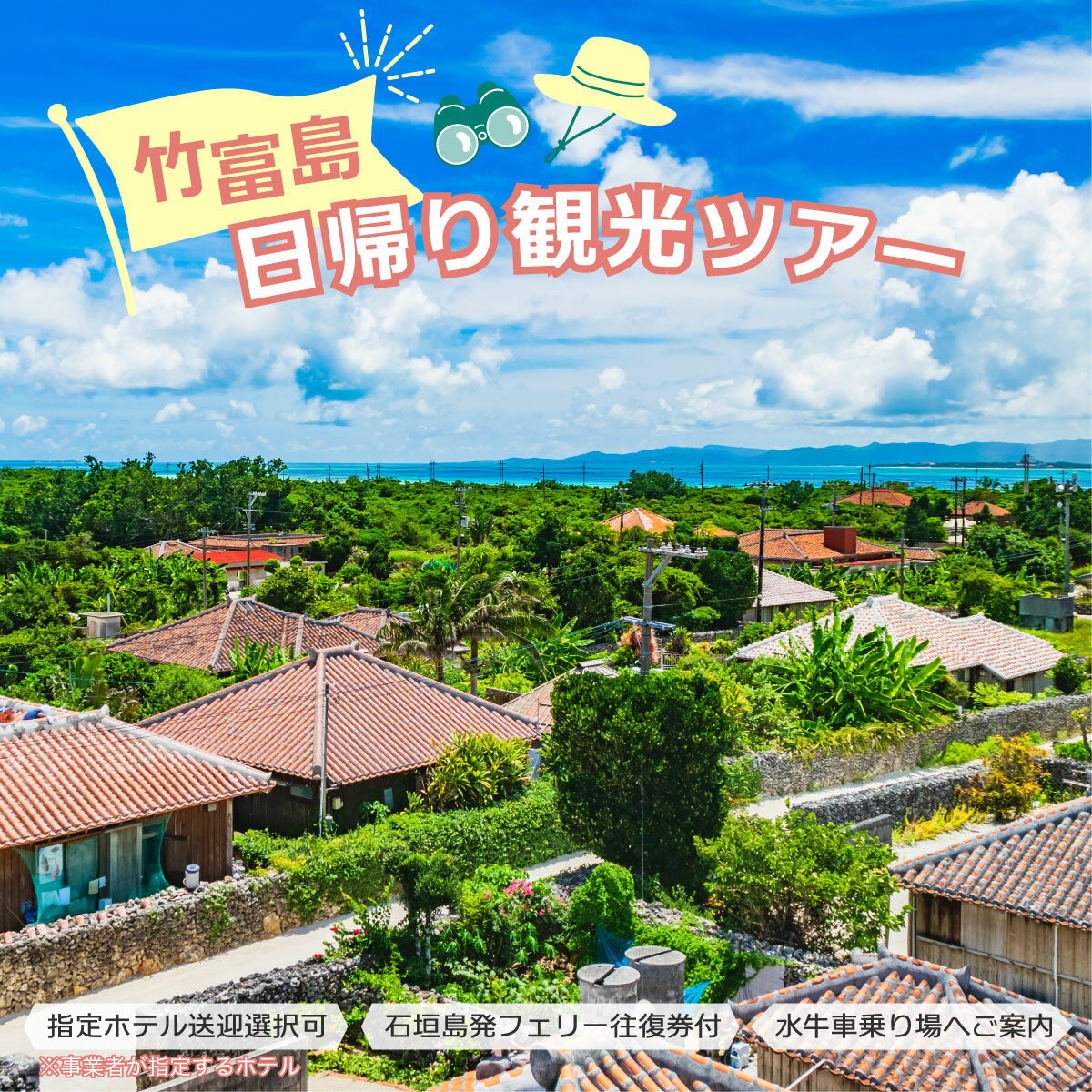 竹富島日帰り観光ツアー 〜水牛車で楽しむ竹富島での過ごし方[半日/指定ホテルお送り][ 旅行 体験チケット観光 大自然 体験ツアー 観光 沖縄 アクティビティ]