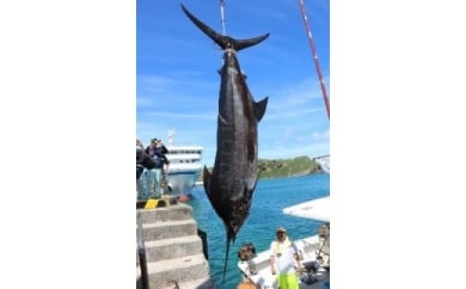 【ふるさと納税】日本最西端からカジキ丸ごと1本相当を直送 G004 クロカジキ カジキマグロ 100kg相当 ..