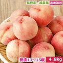 【全額返金】7月分予約 糖度13〜15度 桃 減農薬 訳あり 約4.8kg 15〜18玉入 品種お任せ 川中島白桃 長野産 産地直送 小山 なつっこ ※ ふるさ...