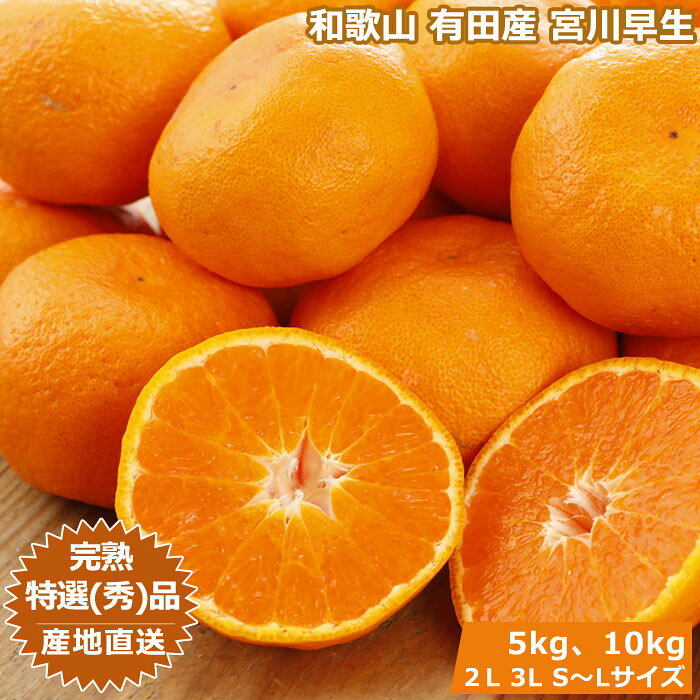 和歌山 有田産 樹上完熟みかん 5kg～10kg 贈答用 ミカン 蜜柑 温州 宮川早生 秀品 特撰品 ...