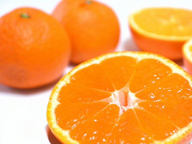 2025年2月分予約 低農薬 訳あり 和歌山産 ネーブル オレンジ 約 10kg ご家庭用 サイズ混合 バラ詰め 産地直送 SSS