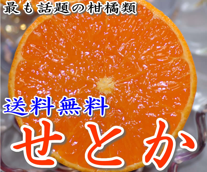 減農薬 愛媛 せとか みかん 約5kg 贈答用 サイズ混合 産地直送 ore 大三島 NN