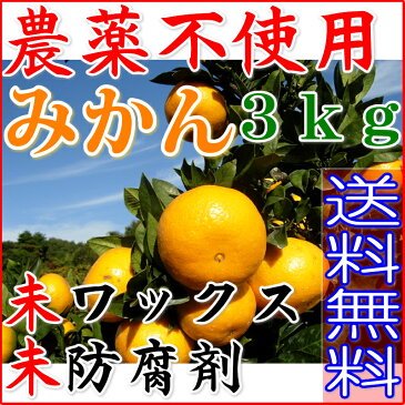 無農薬 訳あり みかん 約 3kg 愛媛みかん ミカン 蜜柑 サイズ混合 産地直送 大三島 ore SSS