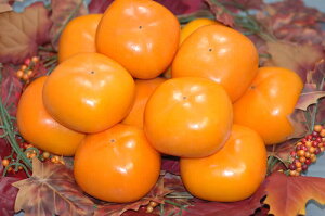 【平核無柿】種なしで人気！美味しい平核無柿のおすすめは？