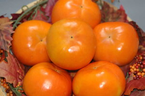 【11月分予約】和歌山 九度山産 富有柿 大玉 秀品 約1.8kg 2L～3L 6～8個入 S10 11j