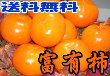 和歌山 九度山産 富有柿 大玉 秀品 約1.8kg 2L〜3L 6〜8個入 S10