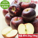 【全額返金】10月分予約 減農薬 秋映 りんご あきばえ B品 約4.5kg?9kg 長野 リンゴ 林檎 産地直送 小山 SSS ※ ふるさと納税 ではありません