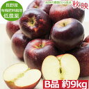 【全額返金】10月分予約 減農薬 長野 秋映 りんご B品 約9kg 24?50個入 秋映え リンゴ 林檎 産地直送 小山※ ふるさと納税 ではありません SSS