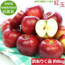 【全額返金】9月分予約 訳あり 減農薬 長野 生食用 紅玉 りんご 約8kg C品 小玉32?60個入 リンゴ 林檎 産地直送 小山 ※ ふるさと納税 ではありません SSS