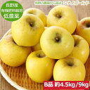 【全額返金】11月分予約 減農薬 長野 シナノゴールド りんご B品 約4.5?9kg 8?50個入 リンゴ 林檎 産地直送 小山 SSS※ ふるさと納税 ではありません